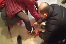  اعزام کوهنوردان و امدادگران به ارتفاعات دنا + فیلم