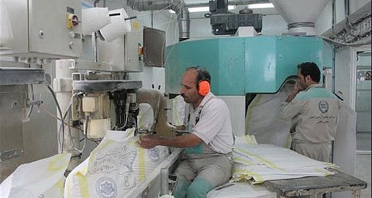 سهم اسلام آبادغرب از صادرات آرد به عراق 140 هزار تن در سال است 