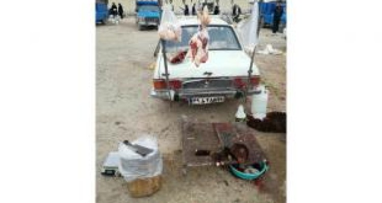 برخورد با کشتار غیرمجاز دام در بازارهای سطح شهر کرمانشاه