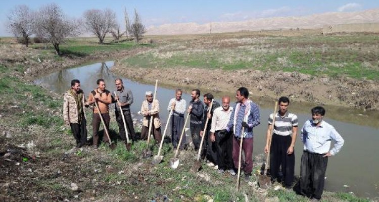 کاشت 5 هزار نهال در بخش حمیل