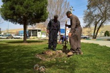 فعالیتهای انجمن سبز زاگراس در شهر اسلام آباد غرب