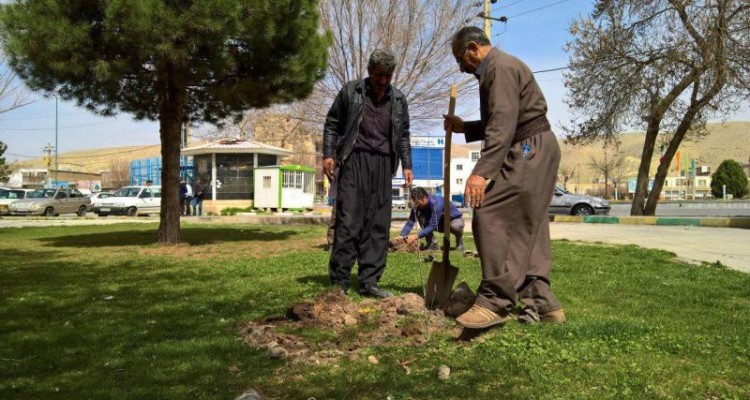 فعالیتهای انجمن سبز زاگراس در شهر اسلام آباد غرب