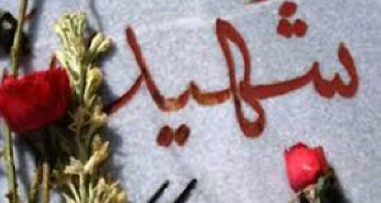 شهدایی که سراسر کشورمان را نورانی کرده‌اند + نماهنگ 