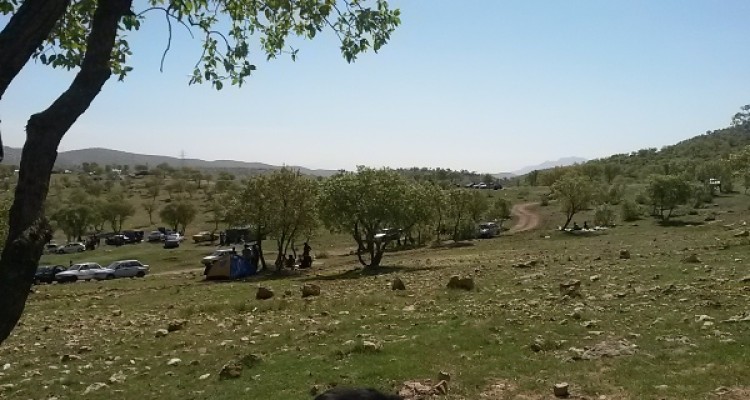 طبیعت بهاری اسلام آبادغرب +تصاویر