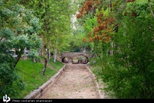 باران بهاری در نصف جهان/ تصاویر