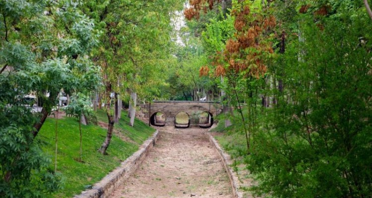 باران بهاری در نصف جهان/ تصاویر