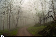 روستای تنیان/تصاویر