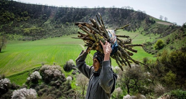 مادر , بهار است/تصاویر