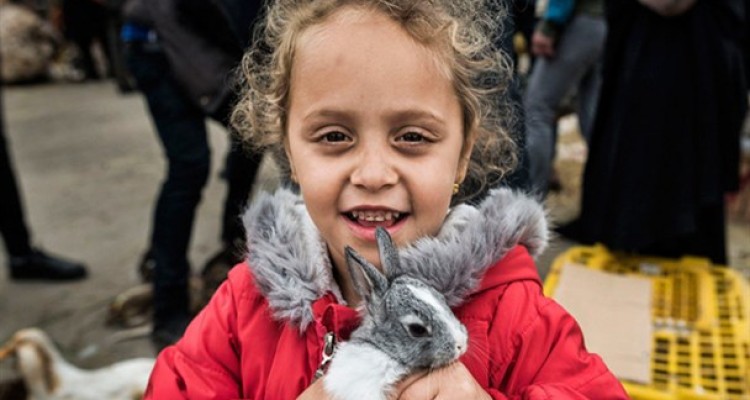 بازار محلی تولم شهر صومعه سرا/ تصاویر