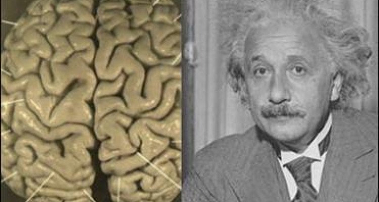 حقایقی مرموز و عجیب که با شنیدن آنها هوش از سرتان می‌پرد+تصاویر