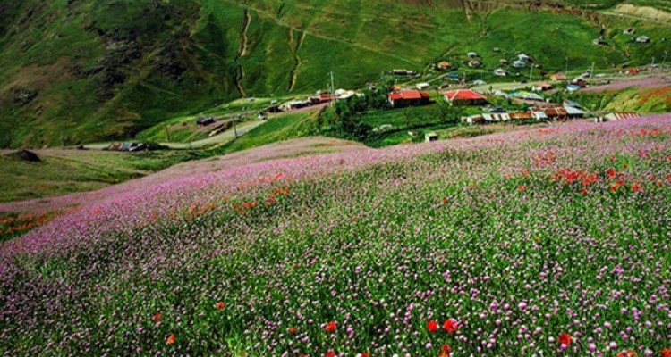 طبیعت بهاری مسیر اسالم به خلخال/تصاویر