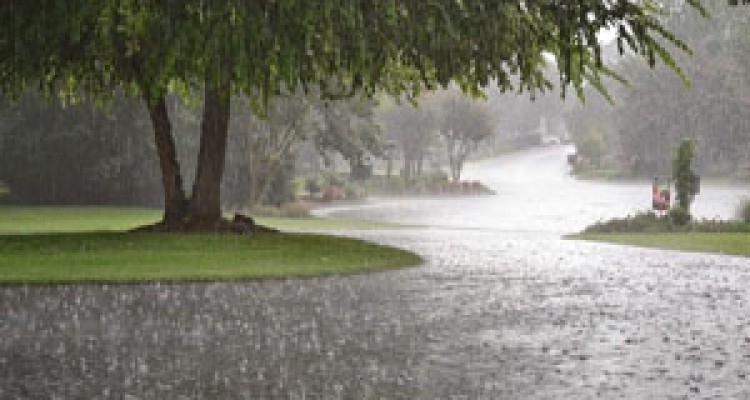 فعالیت سامانه بارشی همچنان ادامه دارد/ کاهش دما در نیمه‌شمالی کشور + جدول 