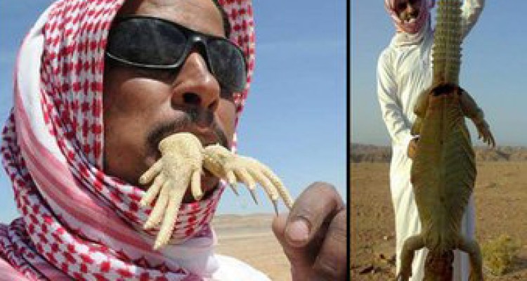 دستگیری مرد سعودی پس از شکار و ذبح ۱۲۰ مارمولک عظیم‌الجثه! +فیلم 