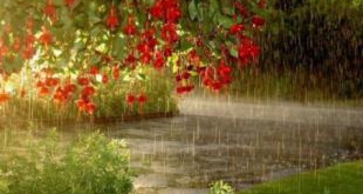 ورود سامانه ناپایدار به جو کرمانشاه از اواسط هفته جاری /وقوع رگبار بهاری