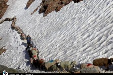 چوپان و گوسفندان در گذرگاه آلپ/ تصاویر