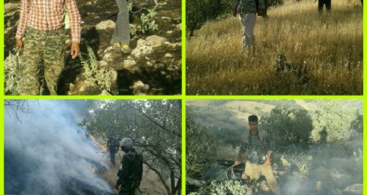 جزئیات مهار آتش سوزی در مراتع و جنگلهای روستای دواردرمیان اسلام آبادغرب/ بیش از ۱۰ هکتار از مراتع منطقه طعمه حریق شد+عکس