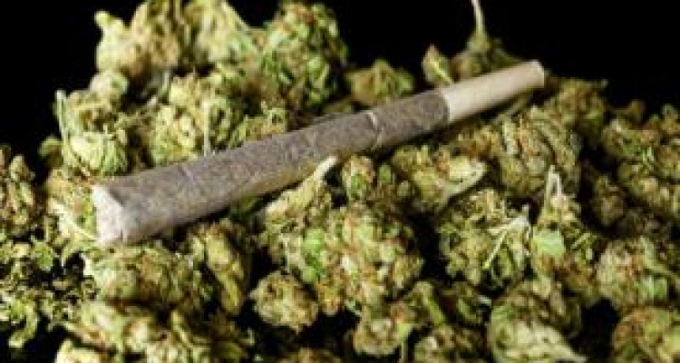 سایه سنگین مخوف‌ترین مخدر دنیا بر سر جوانان کرمانشاهی/توهم‌هایی از جنس «گُل»