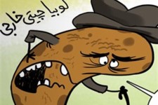 طعنه لوبیا چیتی ایرانی به همتای خارجی اش/کارتون