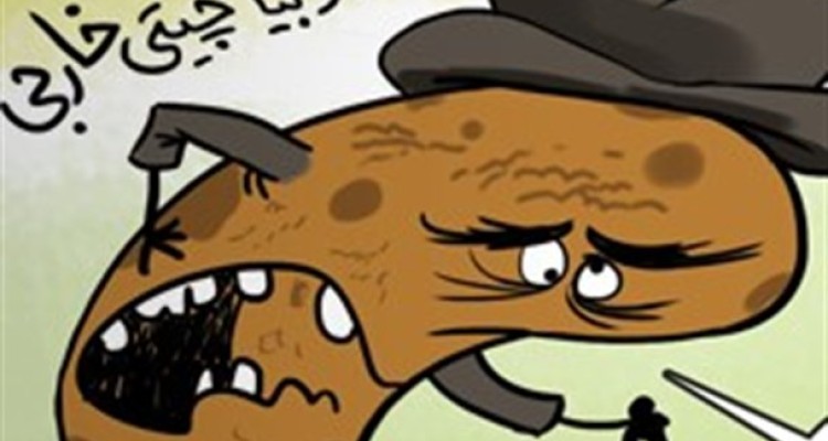 طعنه لوبیا چیتی ایرانی به همتای خارجی اش/کارتون