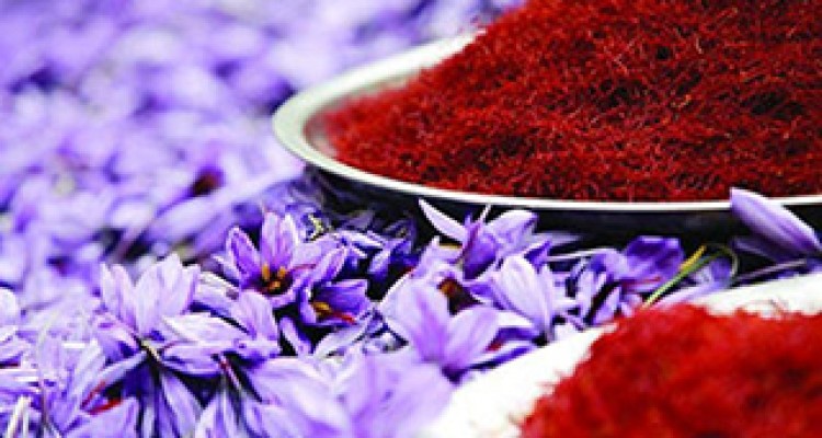 عرضه مستقیم زعفران؛ از دست کشاورز به دست مصرف کننده + صوت 