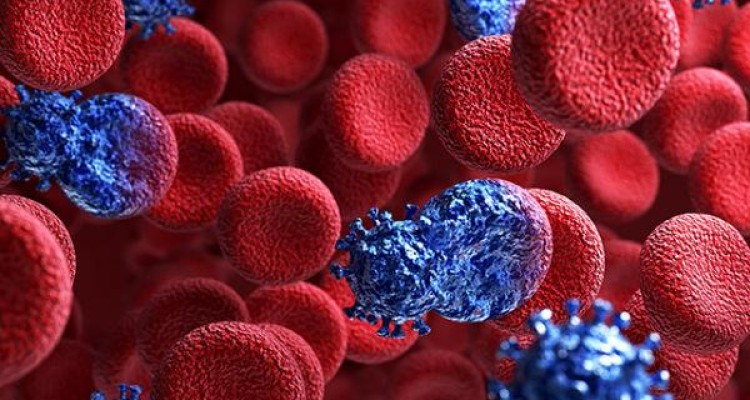 آخرین آمار مبتلایان به اچ آی وی در کشور/ ۳۲ درصد مبتلایان، زنان هستند 