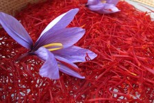 قاچاق زعفران ایرانی به افغانستان!/ مشکل صادرکنندگان زعفران چیست؟