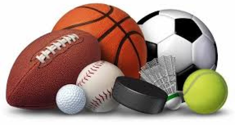 فهرست حقوق دریافتی برخی روسای فدراسیون های ورزشی 