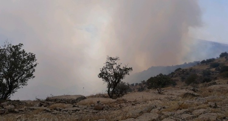 مهار آتش سوزی در مراتع و جنگل های حد فاصل اسلام آبادغرب و استان ایلام/ بیش از 100هکتار از مراتع جنگلی در آتش سوخت+تصاویر