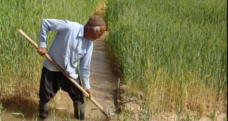 خام فروشی دسترنج روستاییان /مهم ترین راهکار توسعه روستاها چیست؟ 