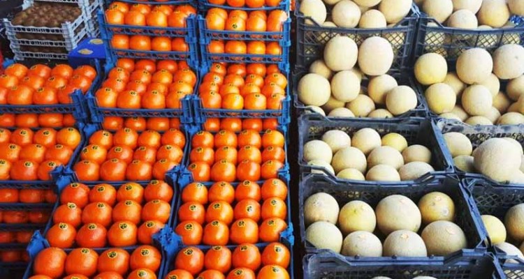 ظرفیت بالقوه محصولات باغات در ایران/ چرا میوه ایرانی برای صادرات تولید نمی‌شود؟ 