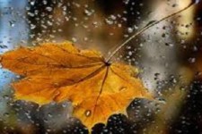 حمیل پربارش ترین شهر کشور/ هوا سردتر می شود