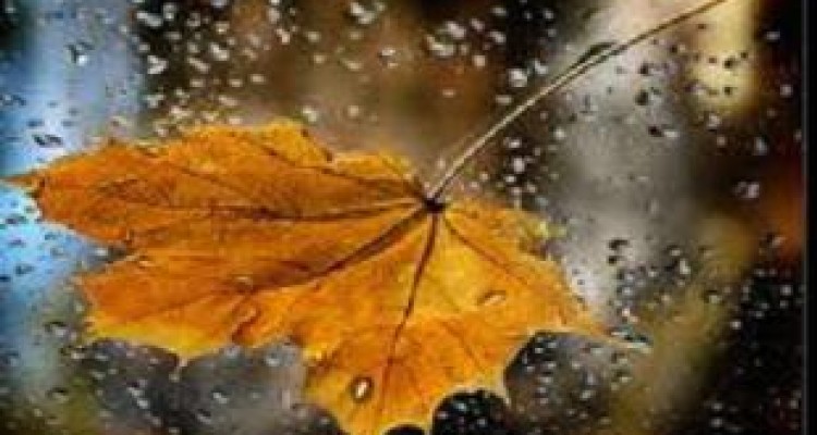 حمیل پربارش ترین شهر کشور/ هوا سردتر می شود