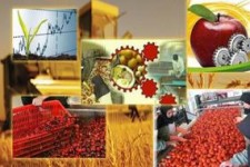 احداث ۱۱ واحد صنایع تبدیلی و تکمیلی بخش کشاورزی در کرمانشاه