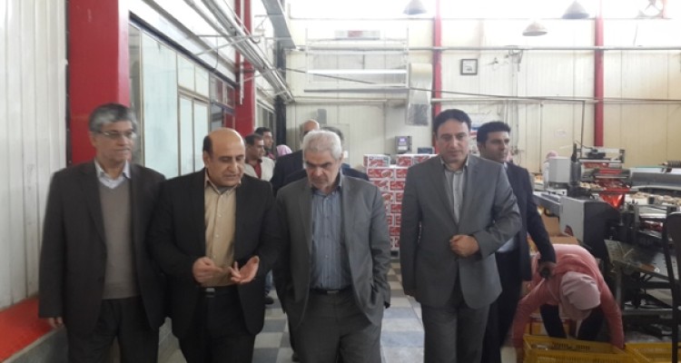 بازدید معاون وزیر صمت از شهرک صنعتی اسلام آبادغرب+تصاویر