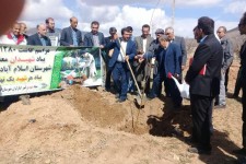 غرس بیش از یک هزار اصله نهال در اسلام آبادغرب+تصاویر