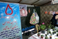 هفت سین خود را با عشق و نوع دوستی کامل کنید+تصاویری از نمایشگاه نوروزی در اسلام آبادغرب