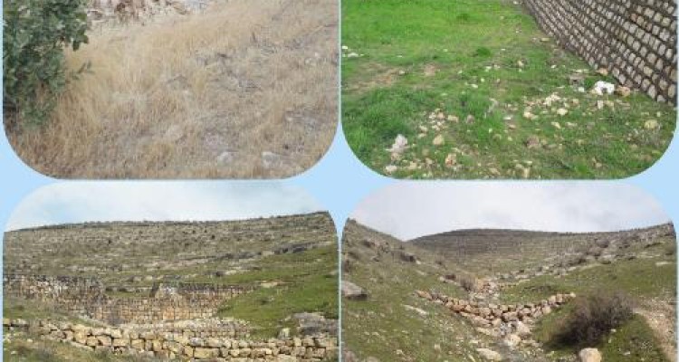 کاهش اثرات مخرب سیل در اسلام آبادغرب از نشانه های توجه به  کار آبخیزداری در شهرستان است