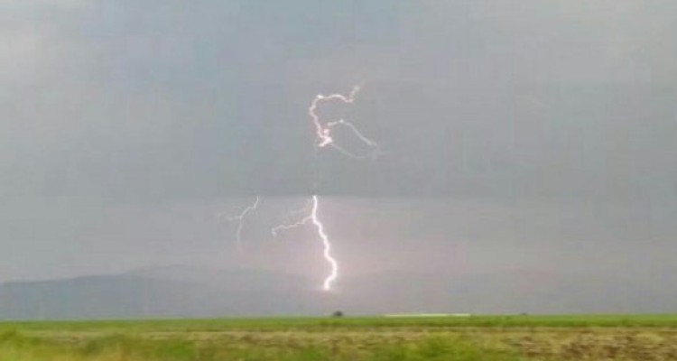 مصدومیت 3نفر و تلف شدن 9راس دام بر اثر اصابت رعد و برق در اسلام آبادغرب و گیلانغرب