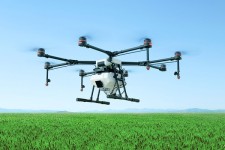 سم پاشی مزارع کلزا در شهرستان اسلام آباد غرب توسط پهپادهای سم پاش برای اولین بار