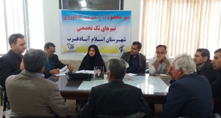 استفاده ازمشاوره های فنی مربیان بسیج مهندسین کشاورزی اسلام آبادغرب از دلایل موفقیت کشاورزان شهرستان