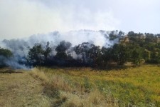 مهار آتش سوزی جنگل های شمالی اسلام آبادغرب+تصاویر