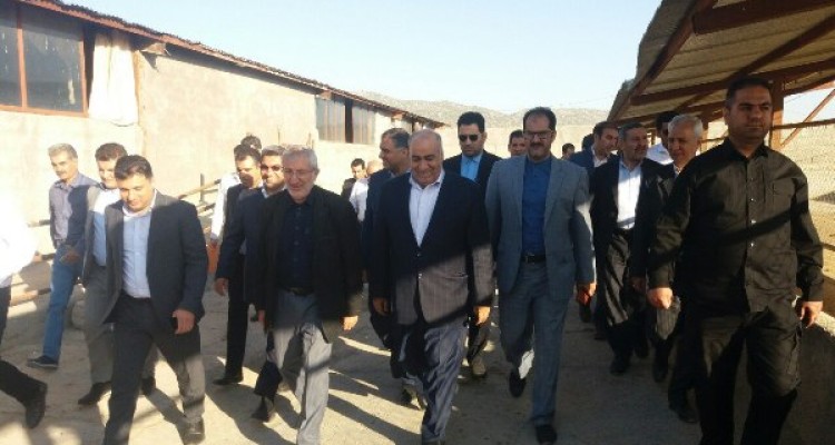  بازدید رئیس بنیاد مستعضفان کشور از مجتمع 3هزار رأسی پرورش میش داشتی در اسلام آبادغرب