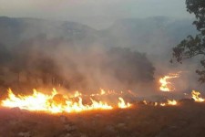 نیروهای ستاد مدیریت بحران شهرستان دالاهو همچنان در آماده باش کامل قرار دارند/احتمال شعله ور شدن مجدد نواکوه