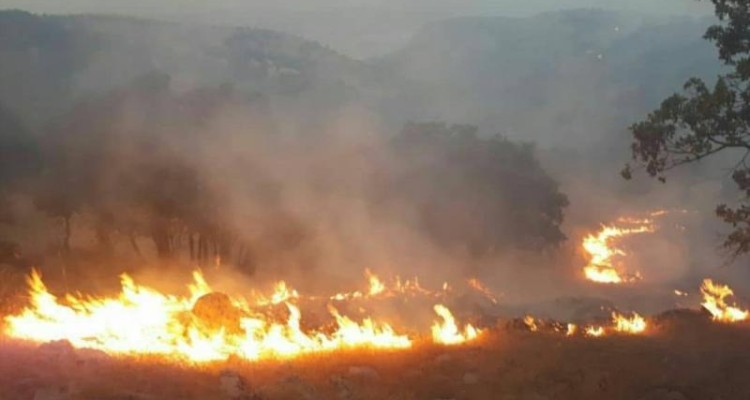 نیروهای ستاد مدیریت بحران شهرستان دالاهو همچنان در آماده باش کامل قرار دارند/احتمال شعله ور شدن مجدد نواکوه