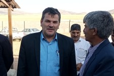 وزارتخانه دو برنامه کلان درخصوص تأمین گوشت قرمز کشور دارد/استان کرمانشاه قطب نژاد گوسفند سنجابی است