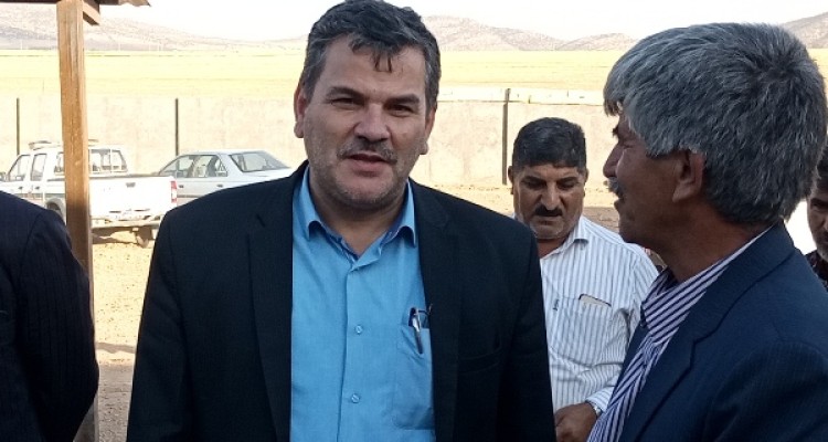 وزارتخانه دو برنامه کلان درخصوص تأمین گوشت قرمز کشور دارد/استان کرمانشاه قطب نژاد گوسفند سنجابی است