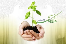 توزیع 400 هزار اصله نهال در بین شهرستان های استان کرمانشاه/غرس هزاران نهال دراسلام آبادغرب+تصاویر