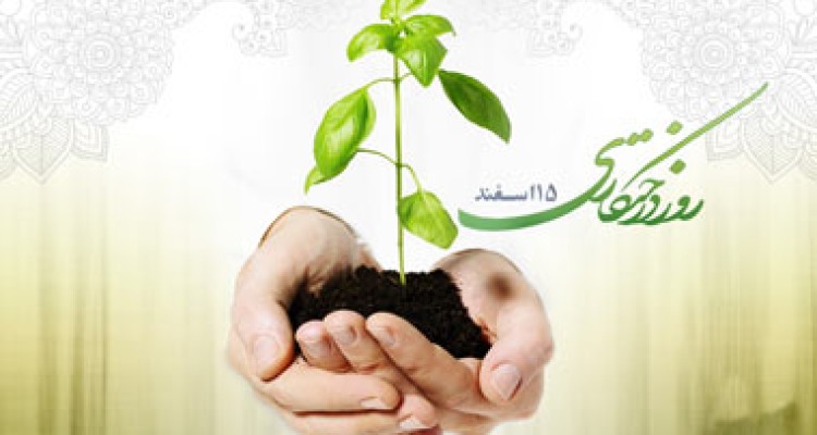 توزیع 400 هزار اصله نهال در بین شهرستان های استان کرمانشاه/غرس هزاران نهال دراسلام آبادغرب+تصاویر