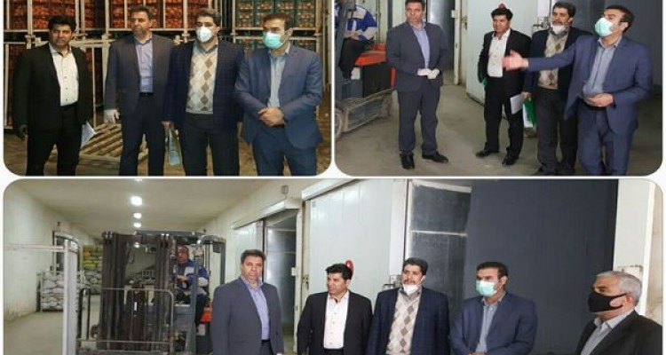 نظارت برتوزیع میوه ویژه تعطیلات نوروز در سردخانه های اسلام آبادغرب