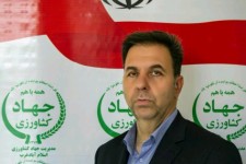 مبارزه با سن مادر در سطح ۲۱۶۰۰ هکتار از مزارع گندم و جو اسلام آبادغرب/مبارزه با علف‌های هرز  در سطح ۴۲۲۴۰ هکتار مزارع شهرستان